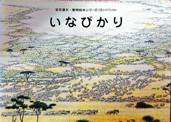 吉田遠志動物絵本シリーズ15 いなびかり 絵本寄付書店 Ekbooks